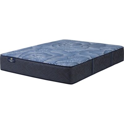 Perfect Sleeper Euphoric Night Firm King Mattress